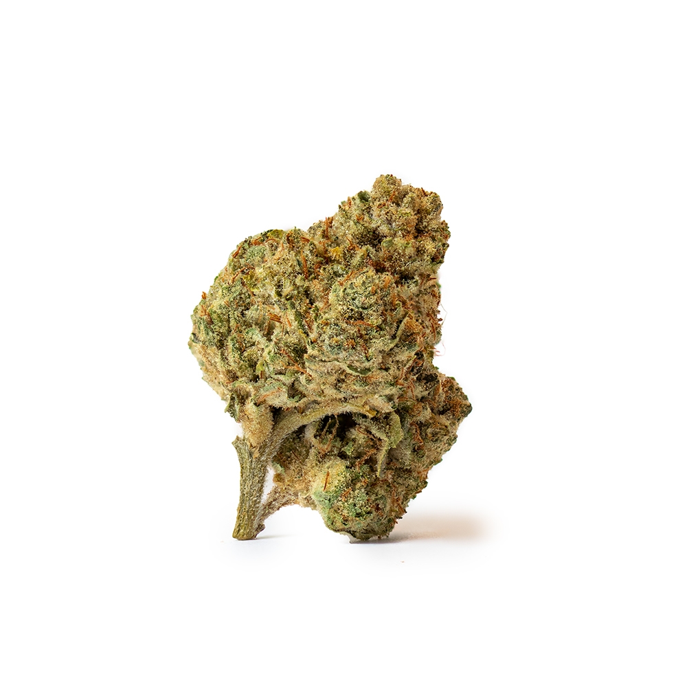 OG Dipstick