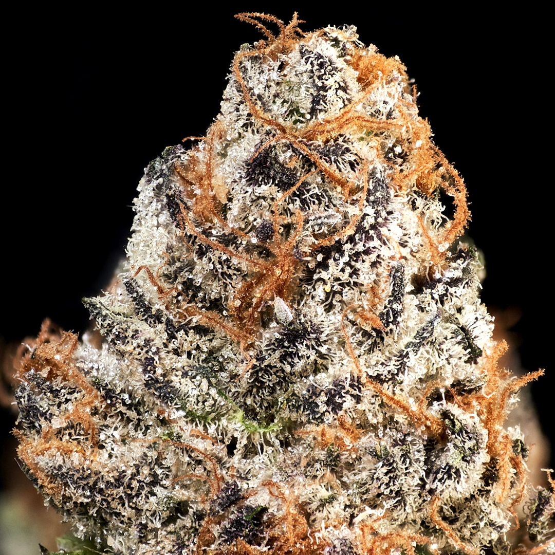 Cherry Gas
