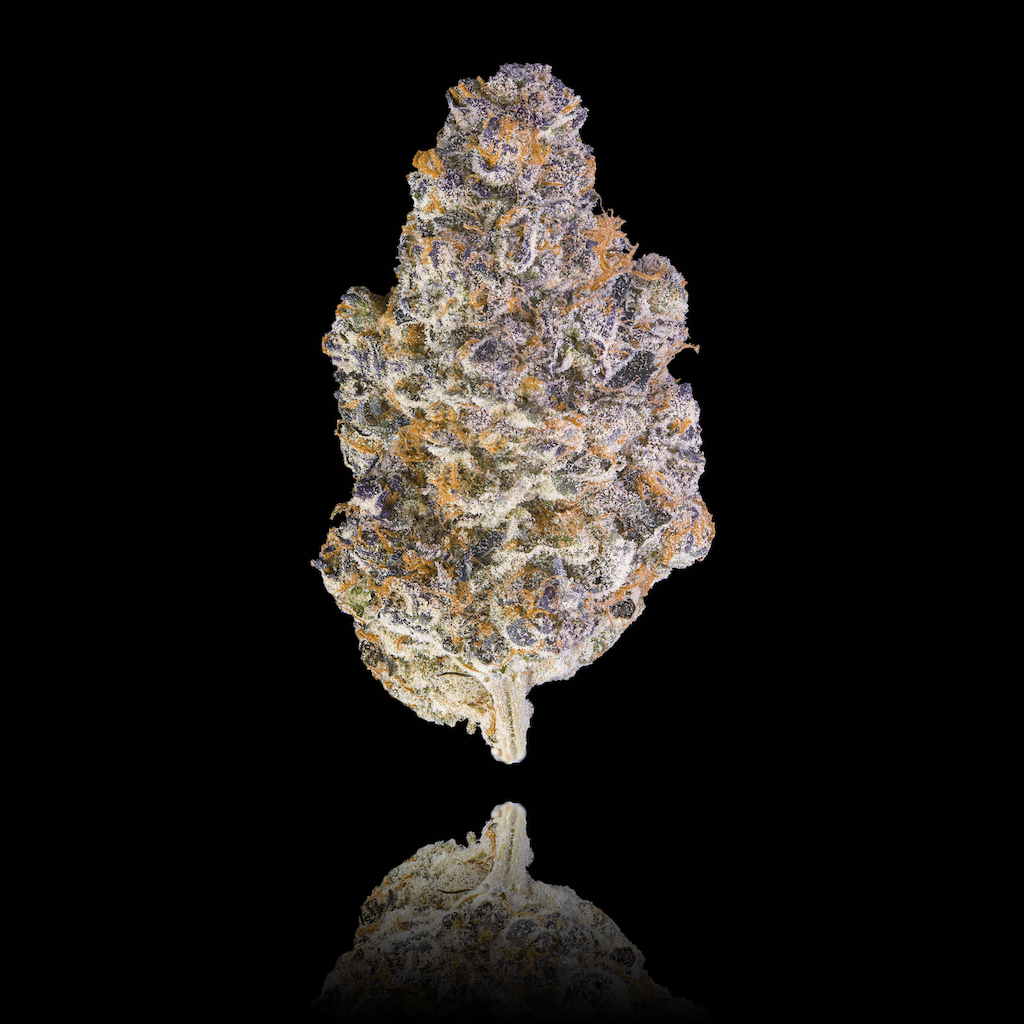 Key Lime Jack