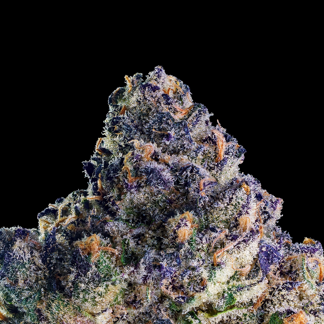 Medusa, Oro & Umami Butter Indica Blend [1g]