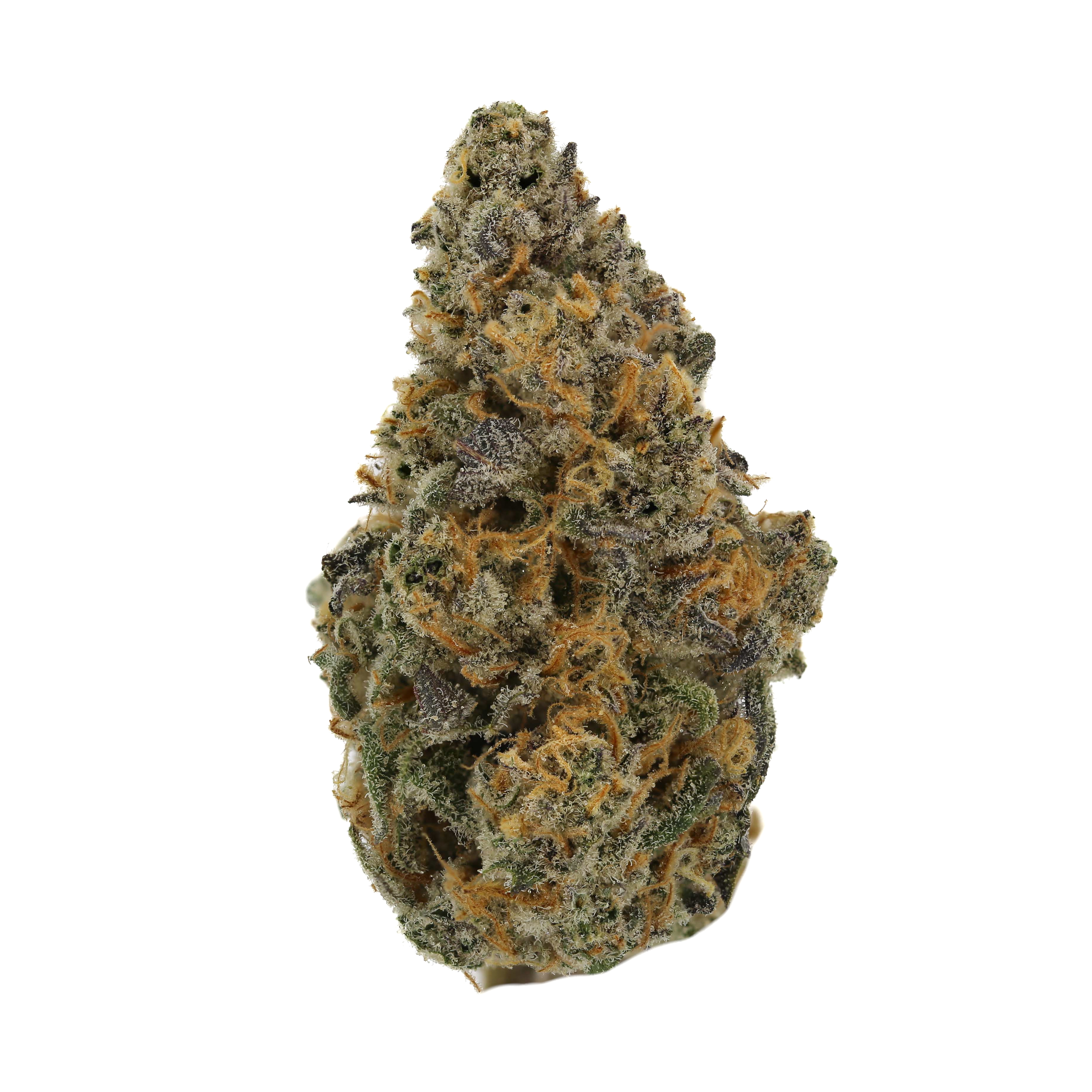 Berry Jane