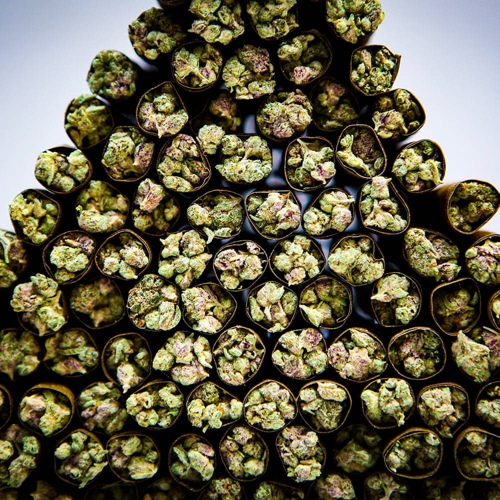 Verde | Sativa | Diamond Infused [2g]