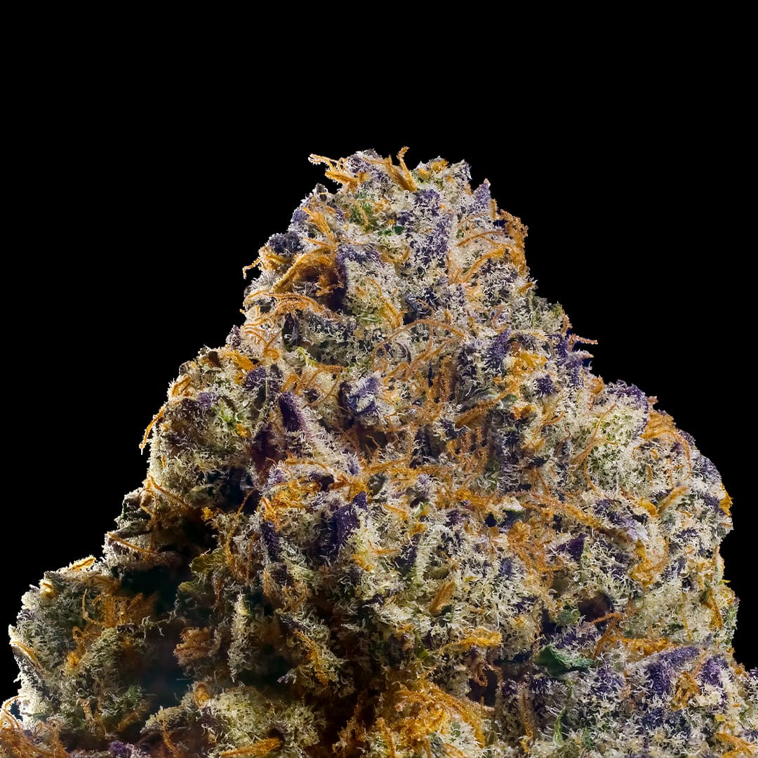 Sour Sangria [3.5g]