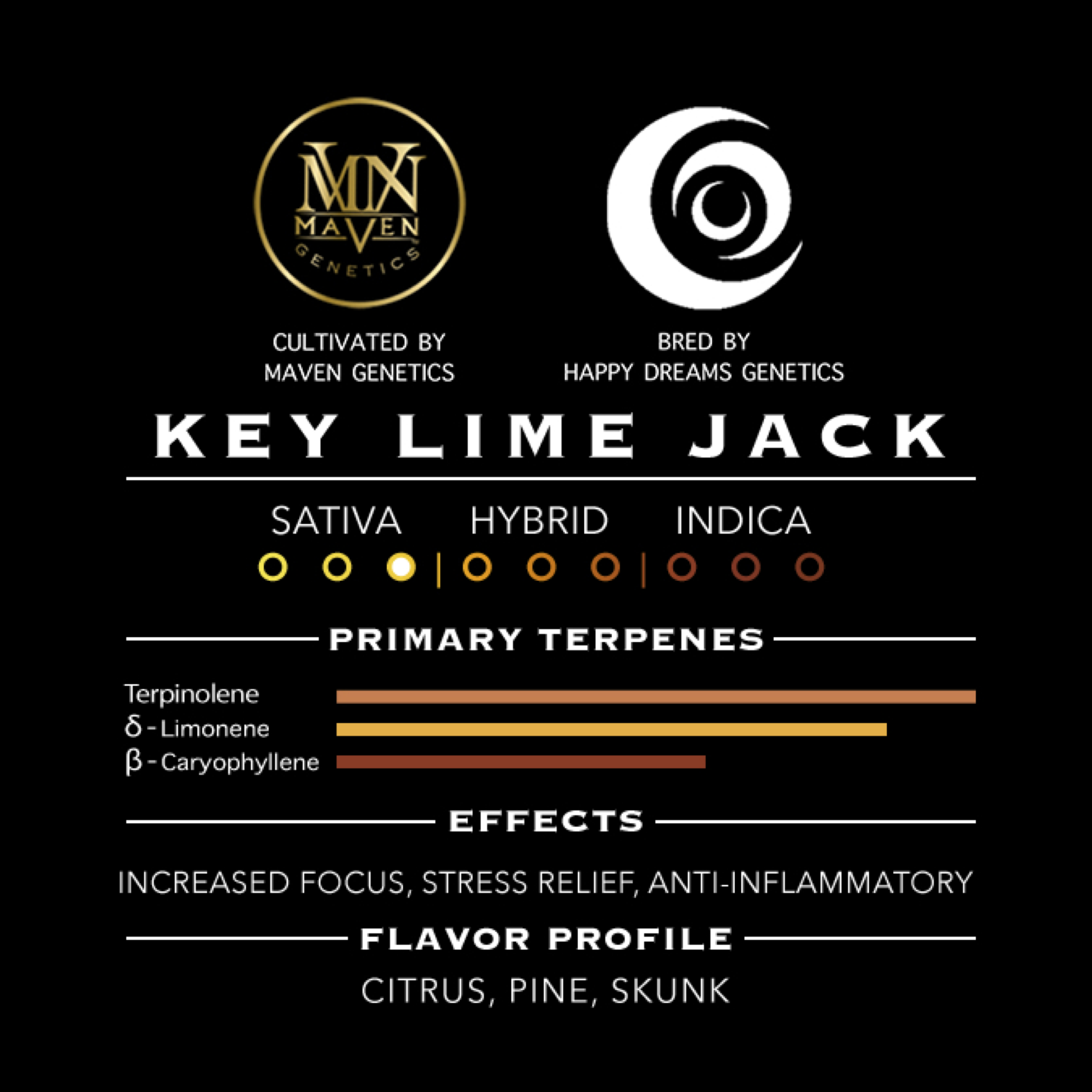 Key Lime Jack